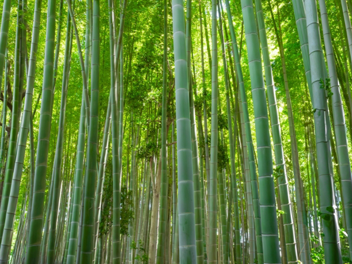 8月2日午前10時 盂蘭盆施餓鬼 